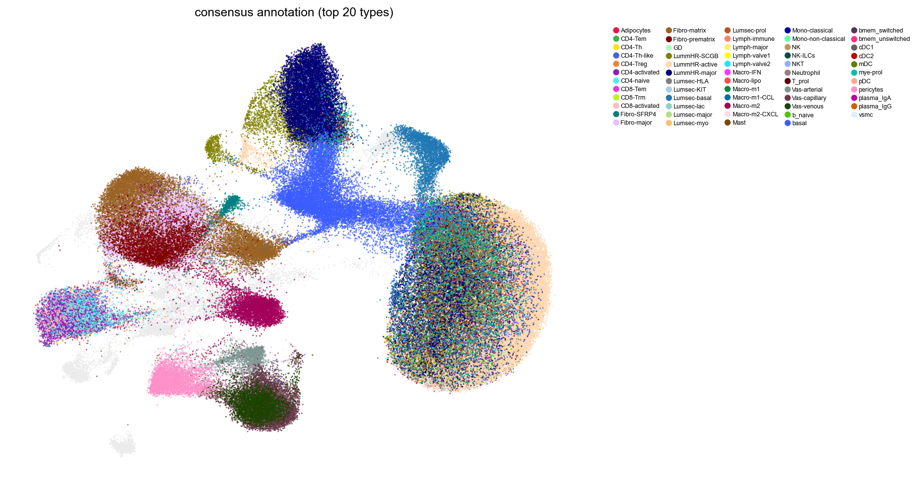 Consensus annotation on the GDR UMAP