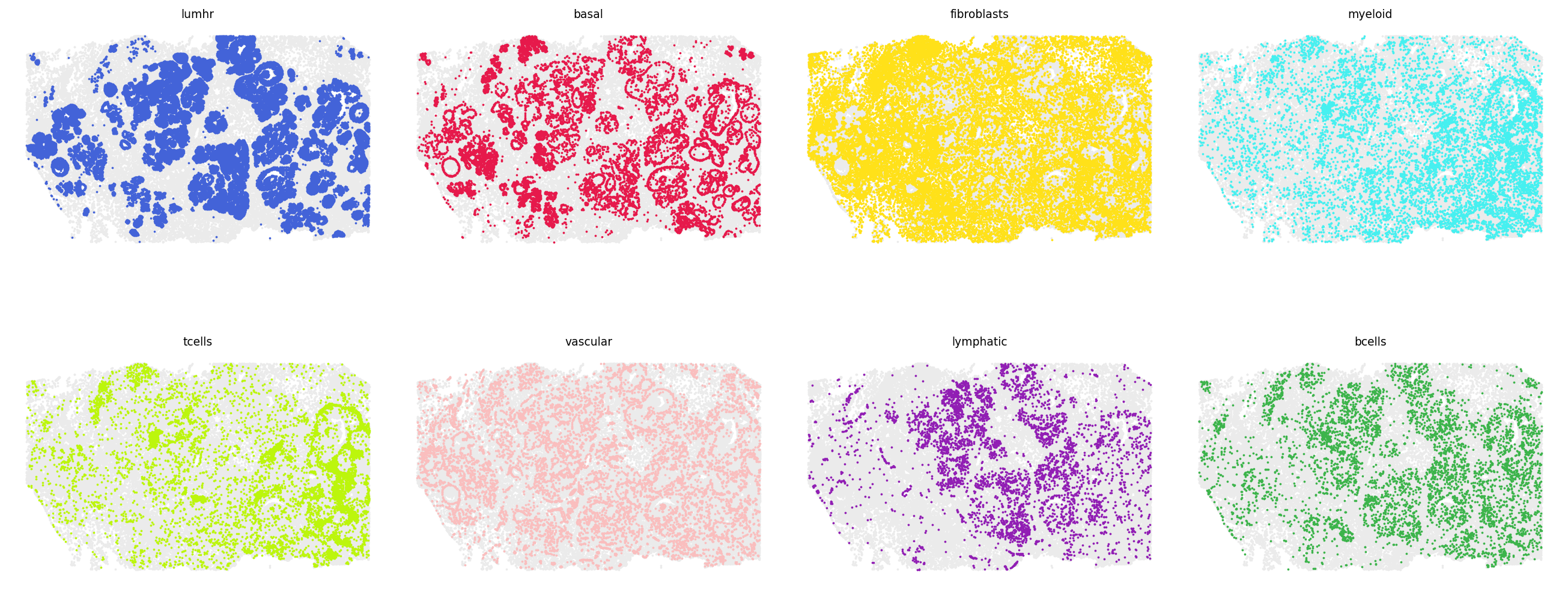 Eight predicted types highlighted in tissue space