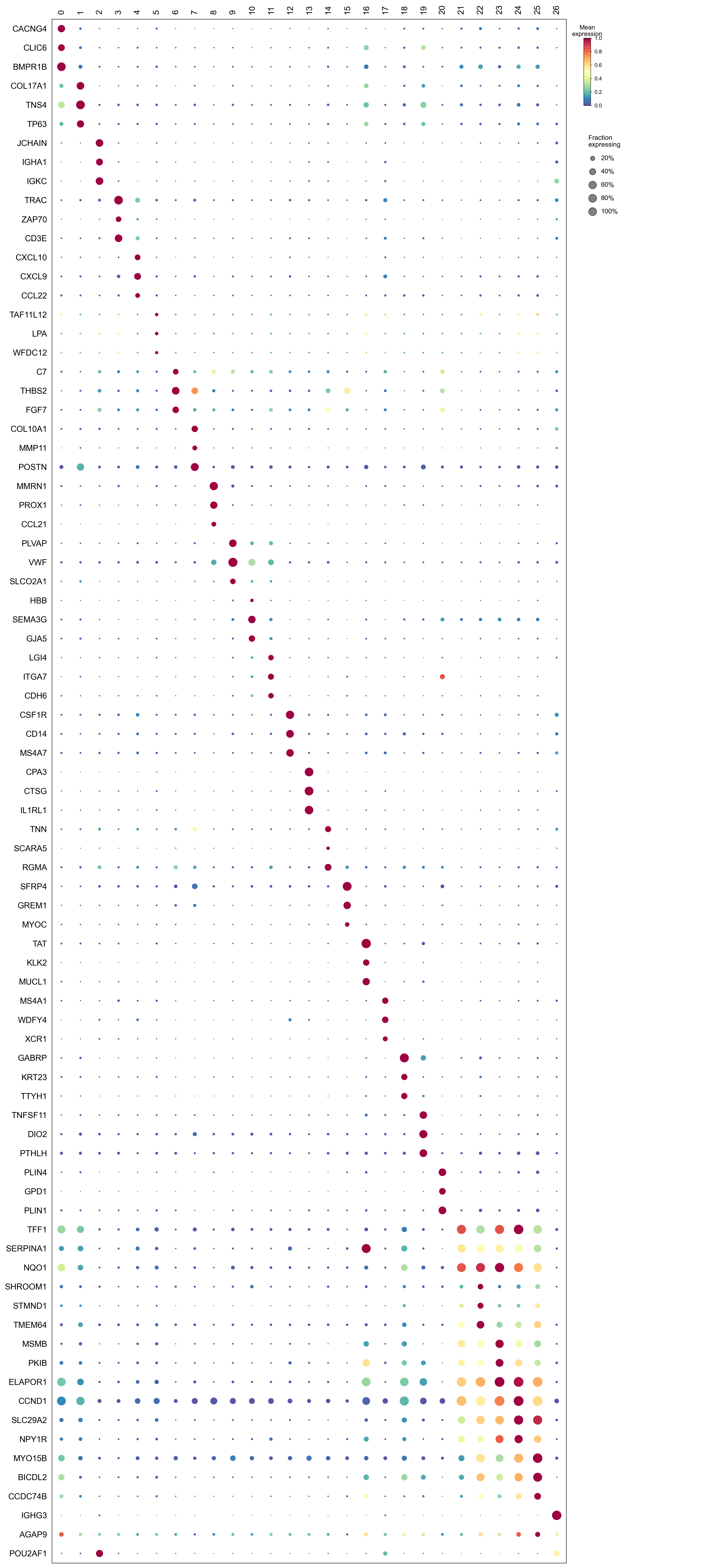 Top three markers per cluster