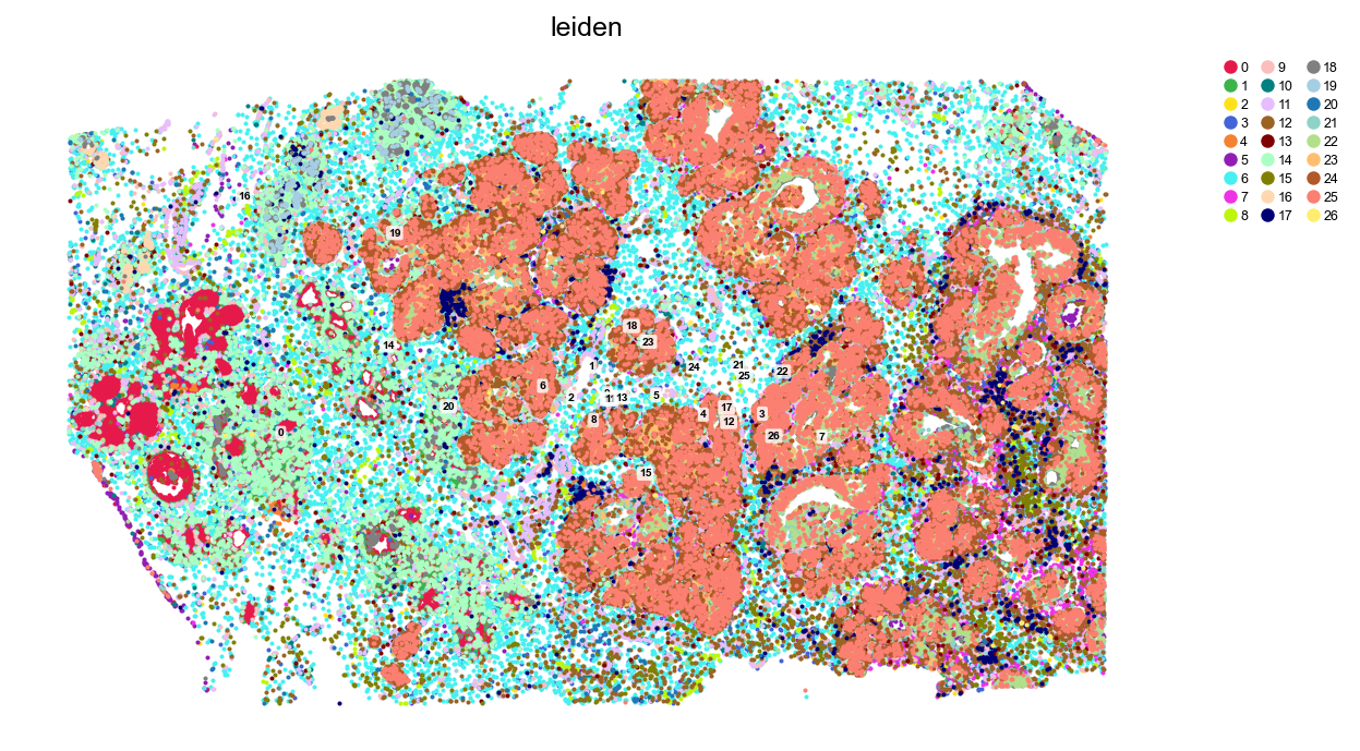 Clusters in tissue space