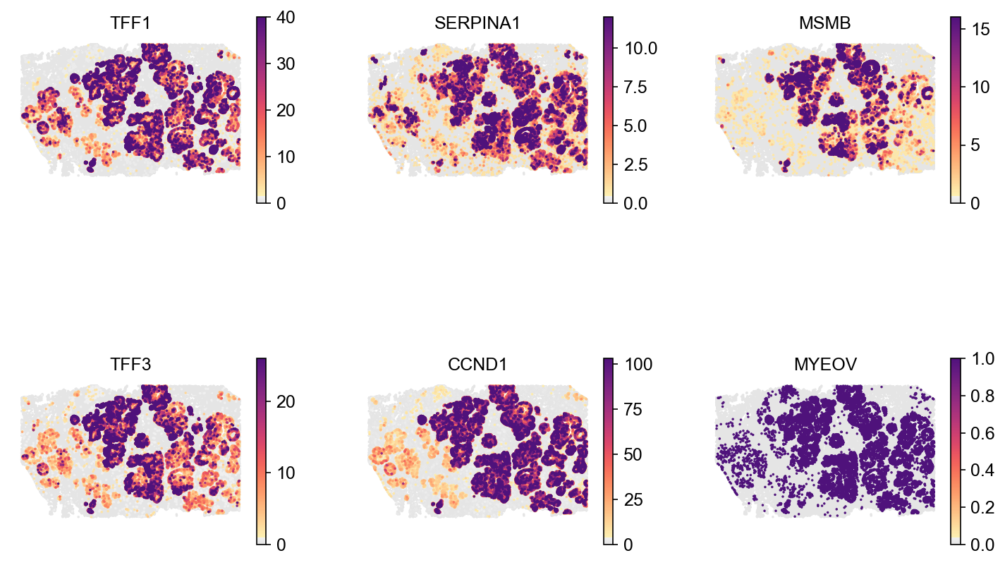 Markers of clusters 21-25 in tissue space