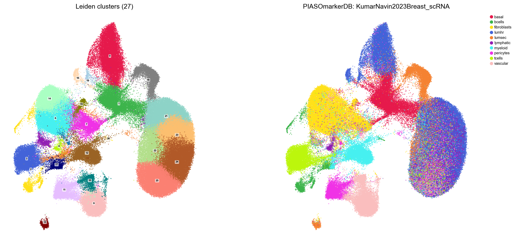 Clusters and predicted cell types on the GDR UMAP