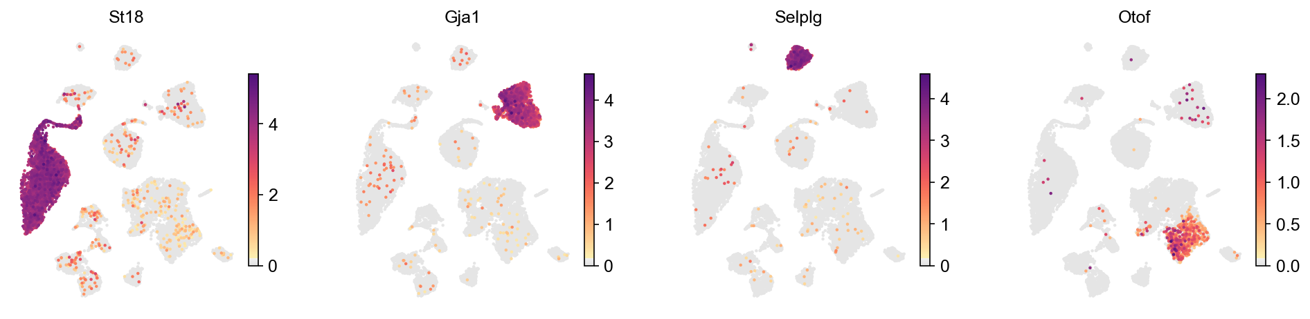 Top marker of four cell types, read straight from the cytome