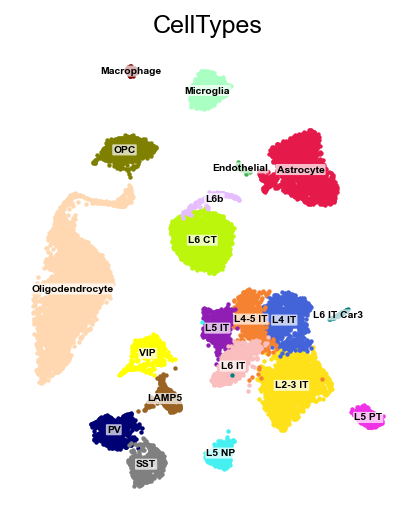The cortex cytome, coloured by its stored cell-type labels