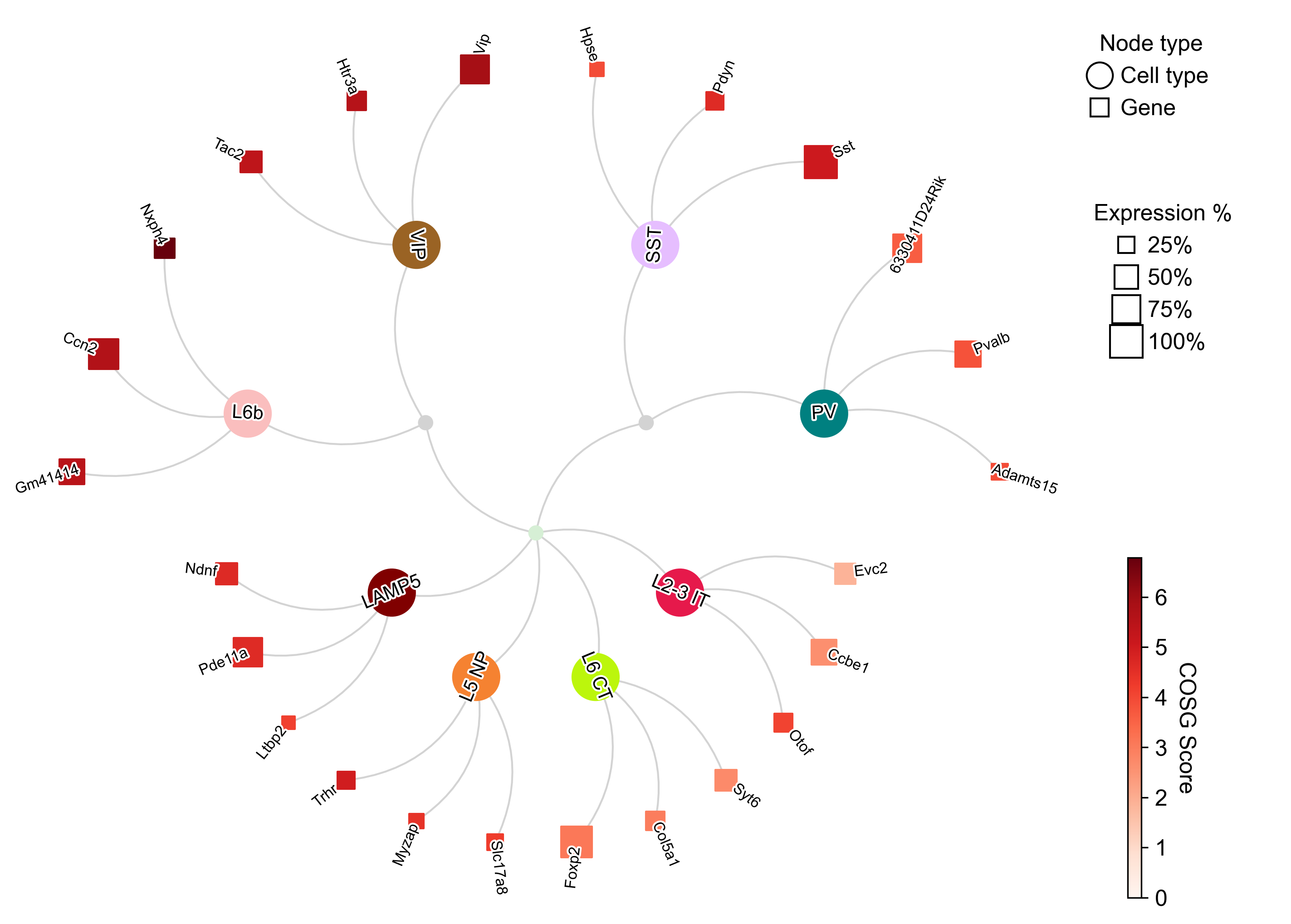 Eight selected cell types with curved edges