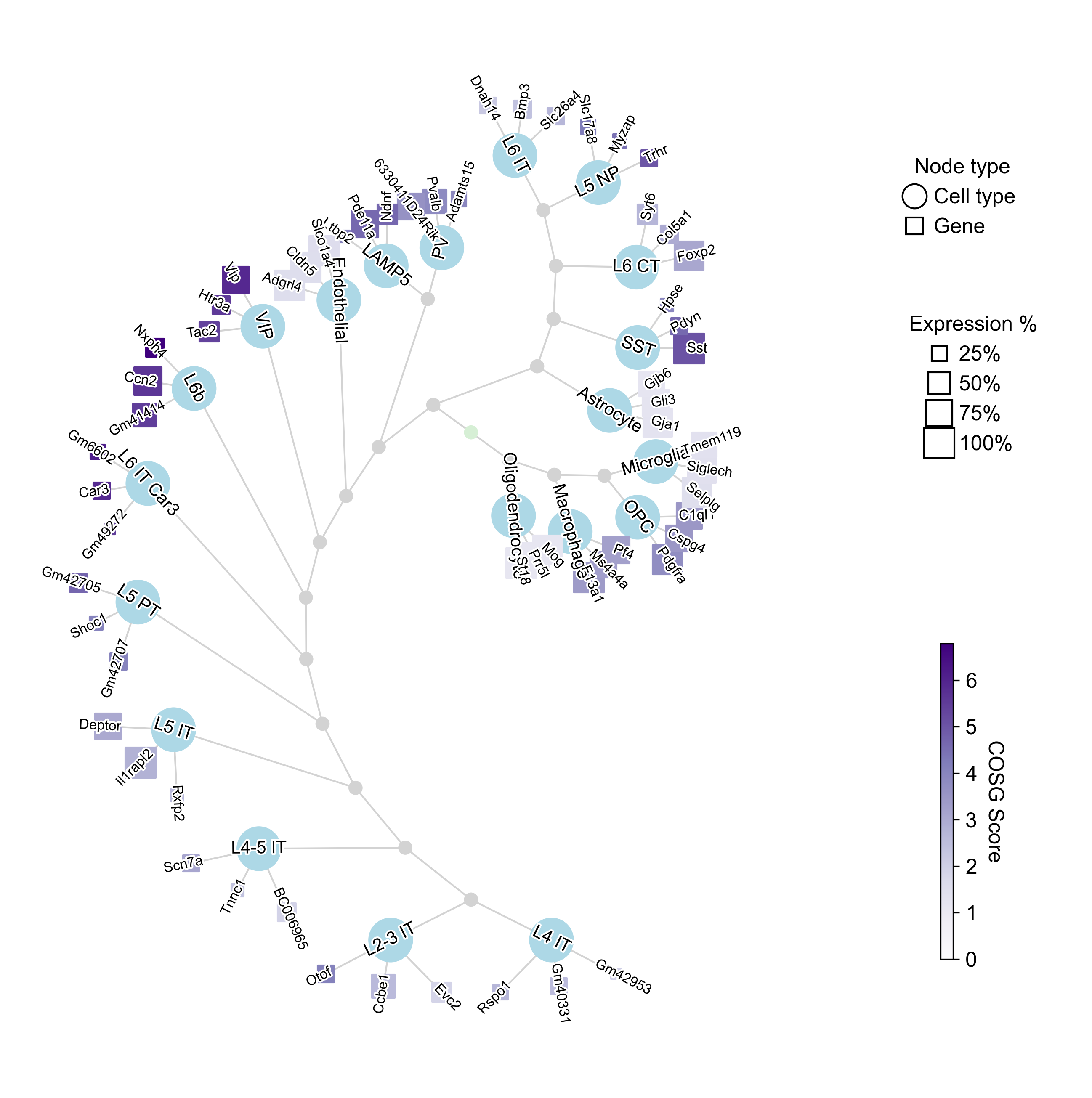 Dendrogram computed on the embedding