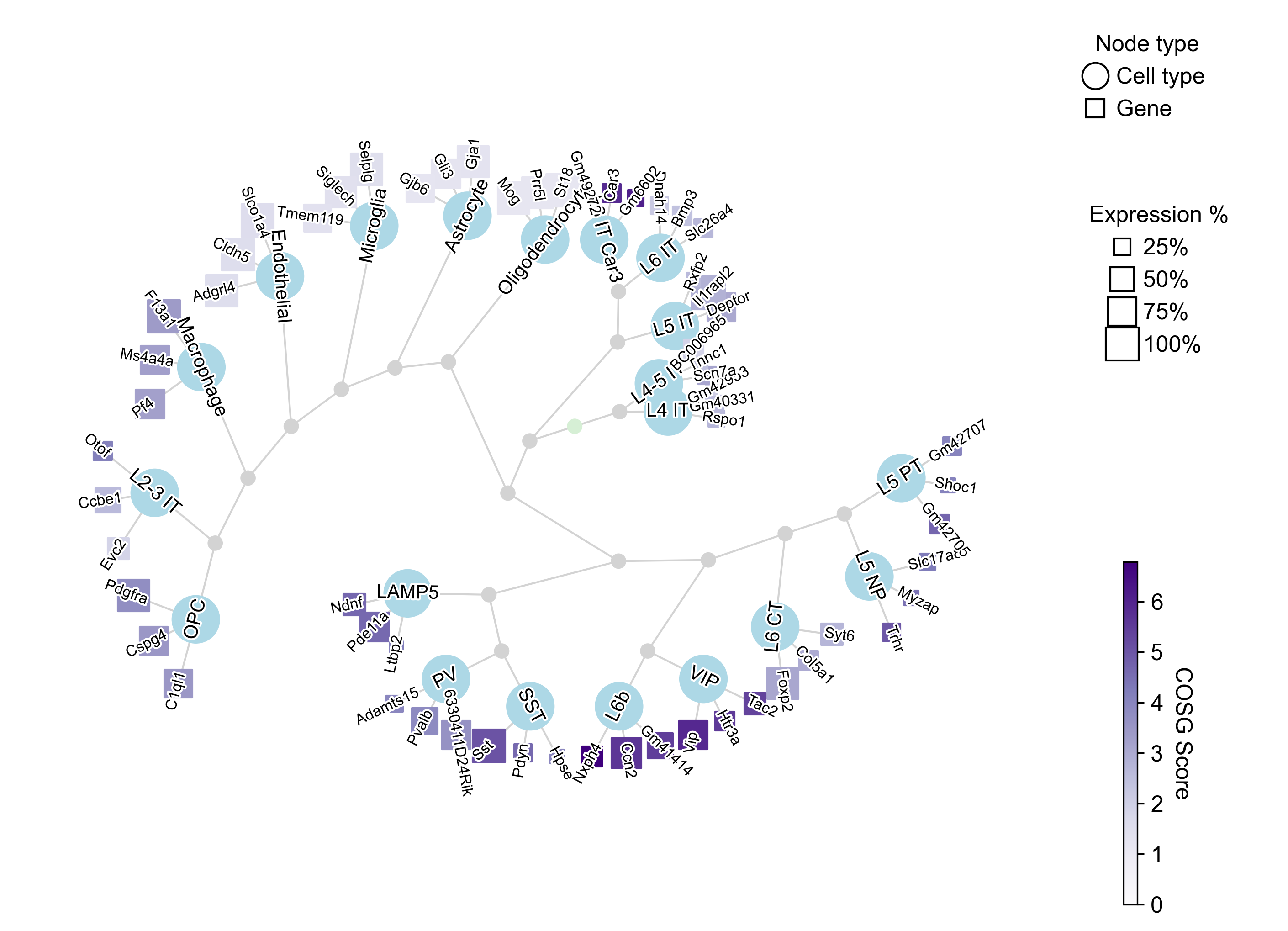 Dendrogram computed on COSG scores