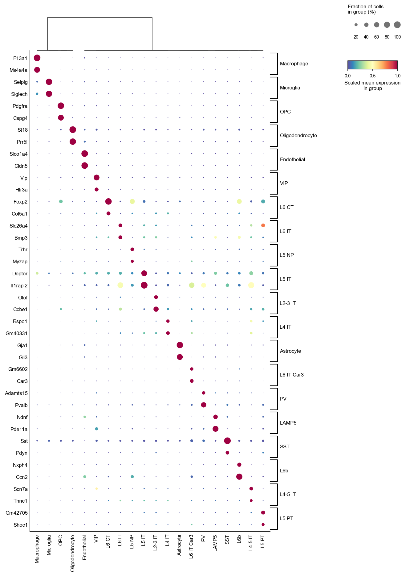 The same plot transposed, with the group brackets on the right