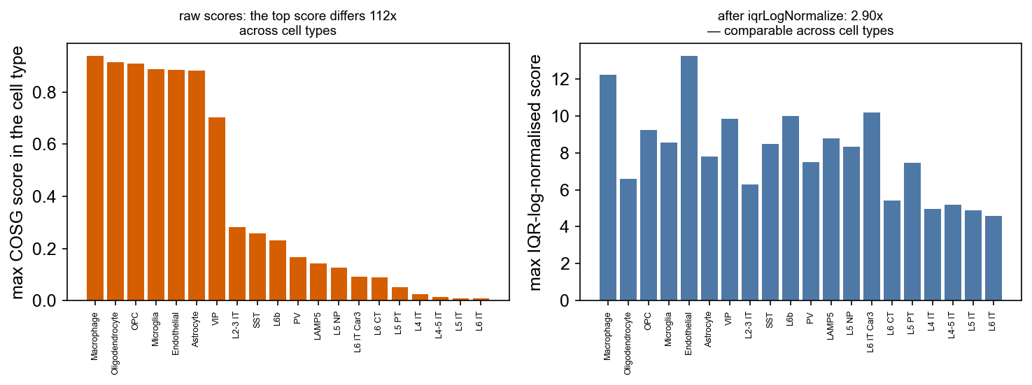 Raw scores span 112x across cell types; IQR-normalised ones span 2.9x