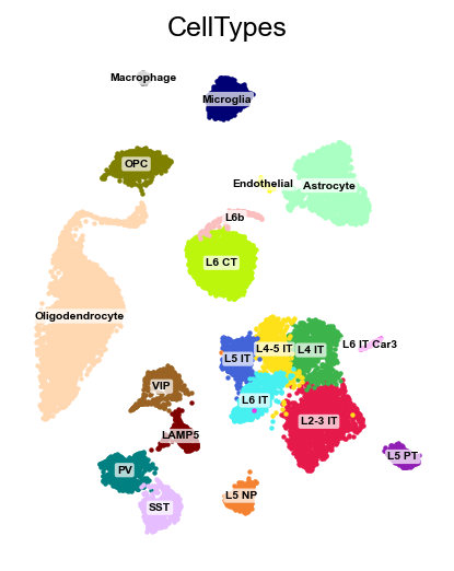 The cortex dataset, coloured by annotated cell type