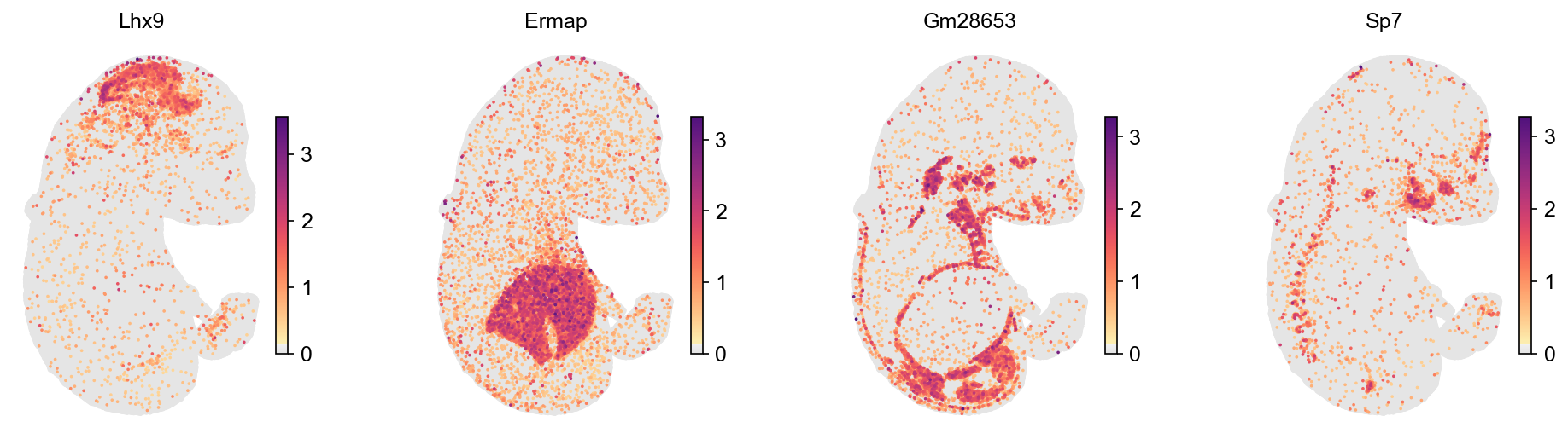 Top marker of four organs, plotted in tissue space