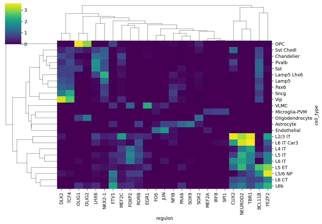 Regulon specificity clustermap