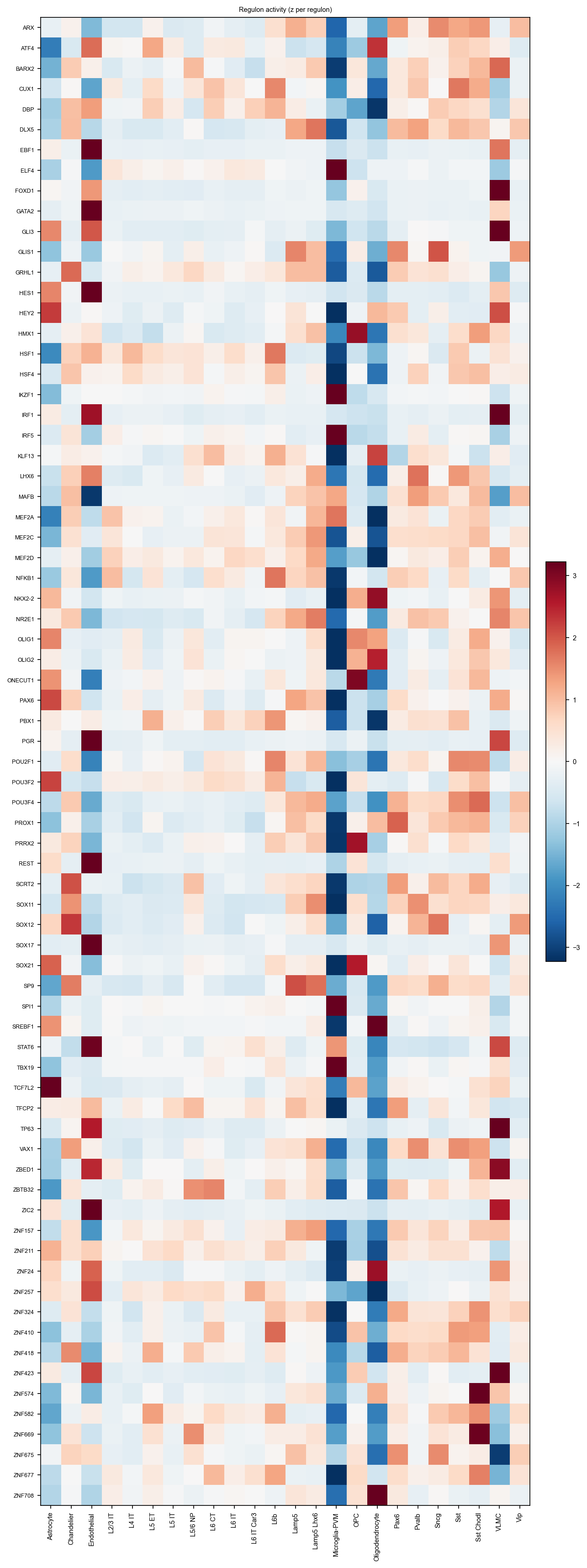 Regulon activity per subclass, AnnData