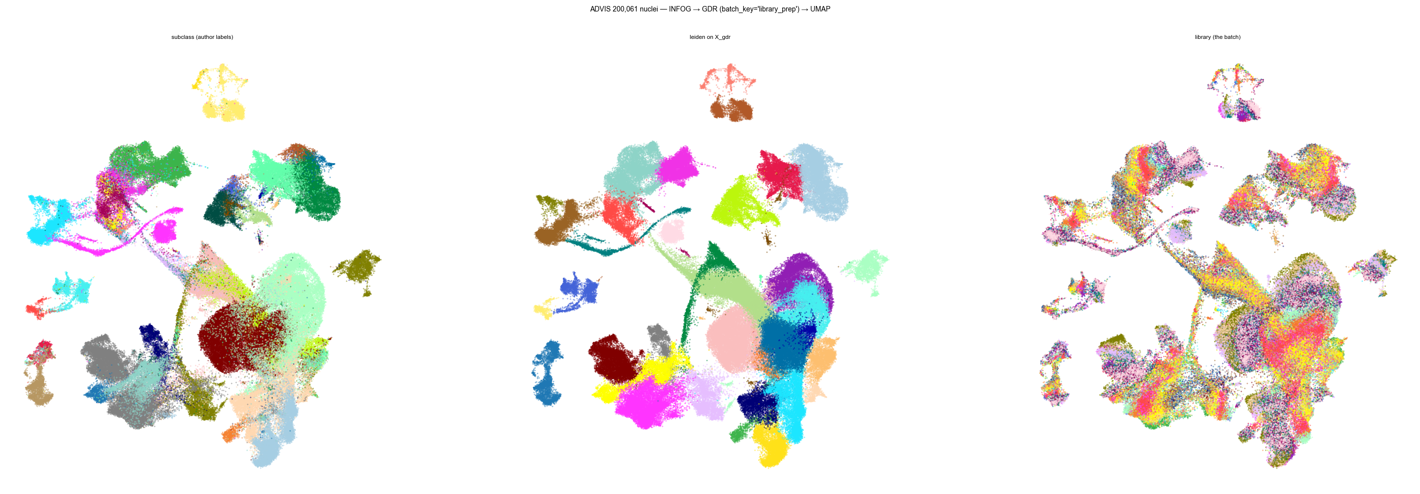 ADVIS 200k: subclass, Leiden on X_gdr, and the batch
