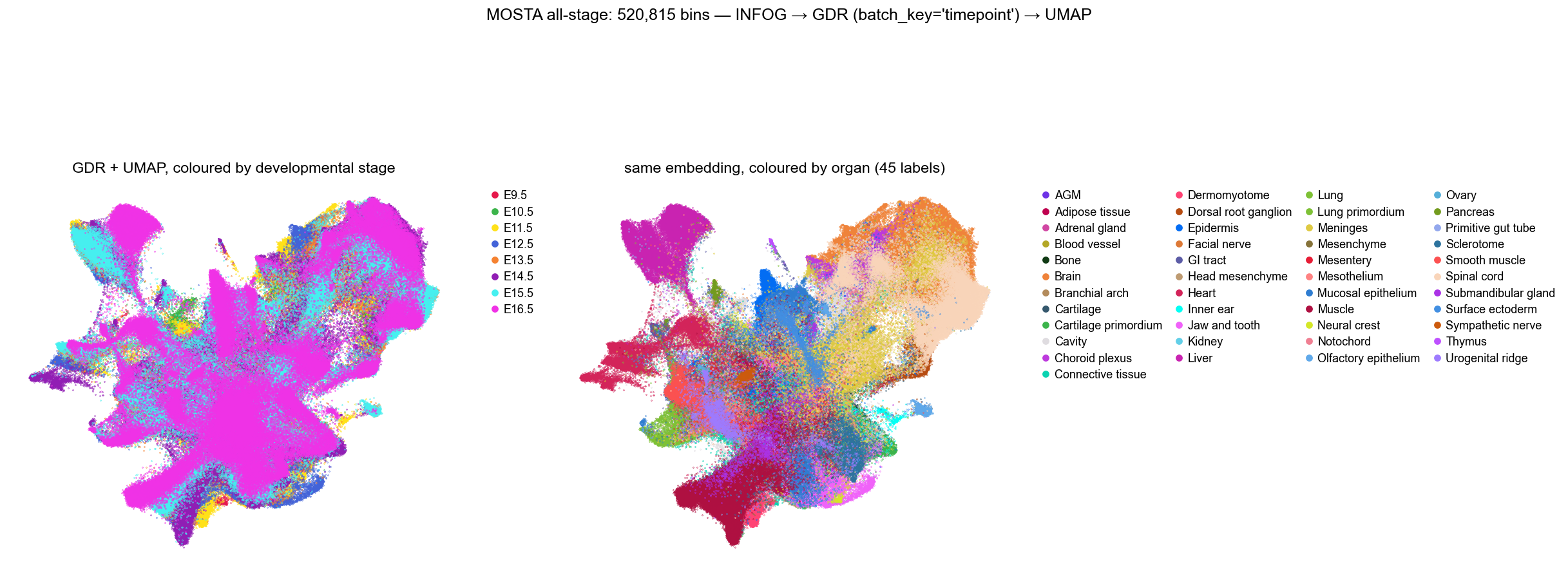GDR UMAP coloured by stage and by organ
