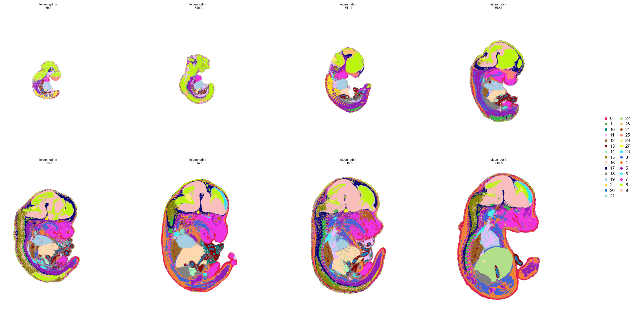 leiden clusters in space, per stage