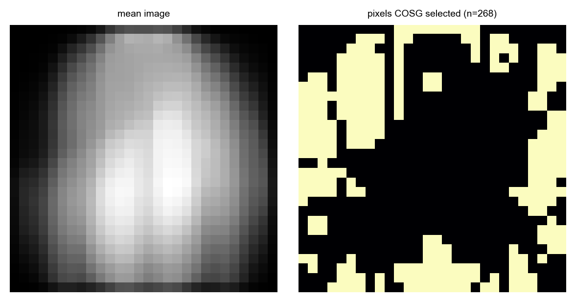 Mean image, and the pixels COSG selected