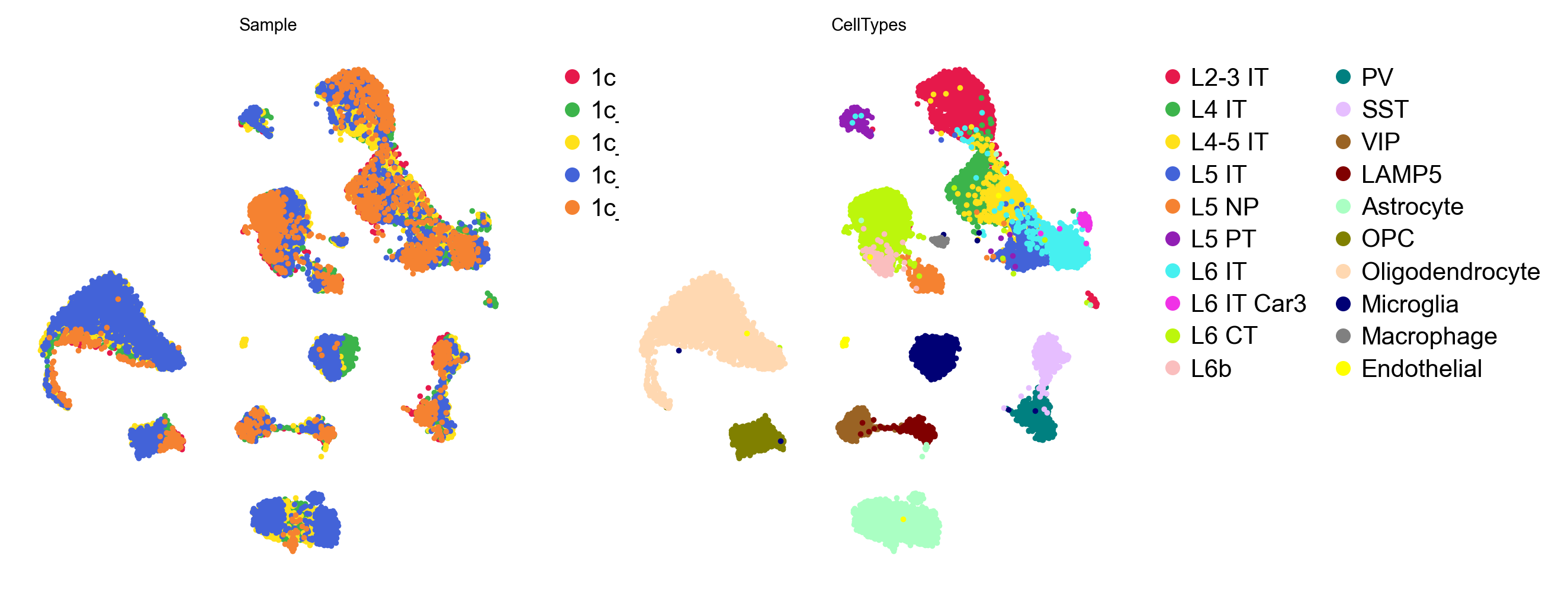 GDR embedding by sample and cell type