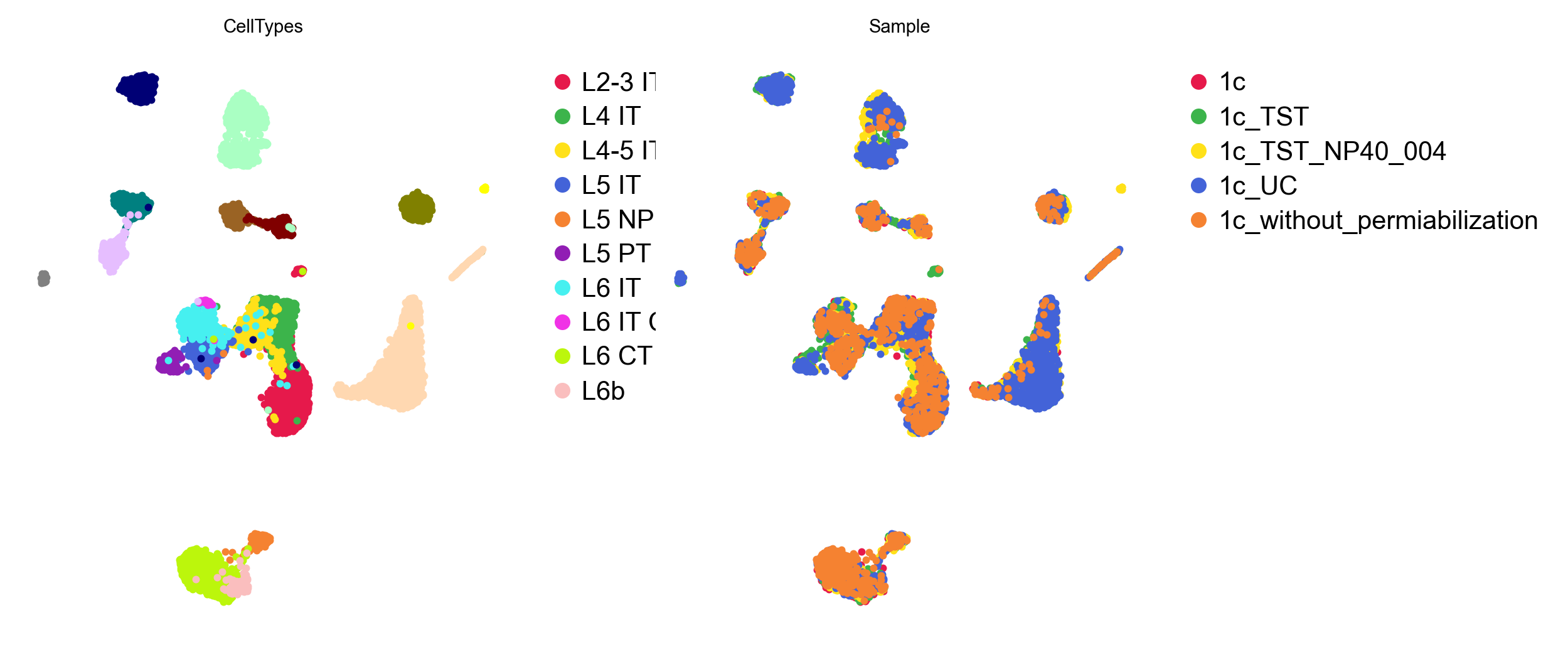Query cells in the reference's GDR space