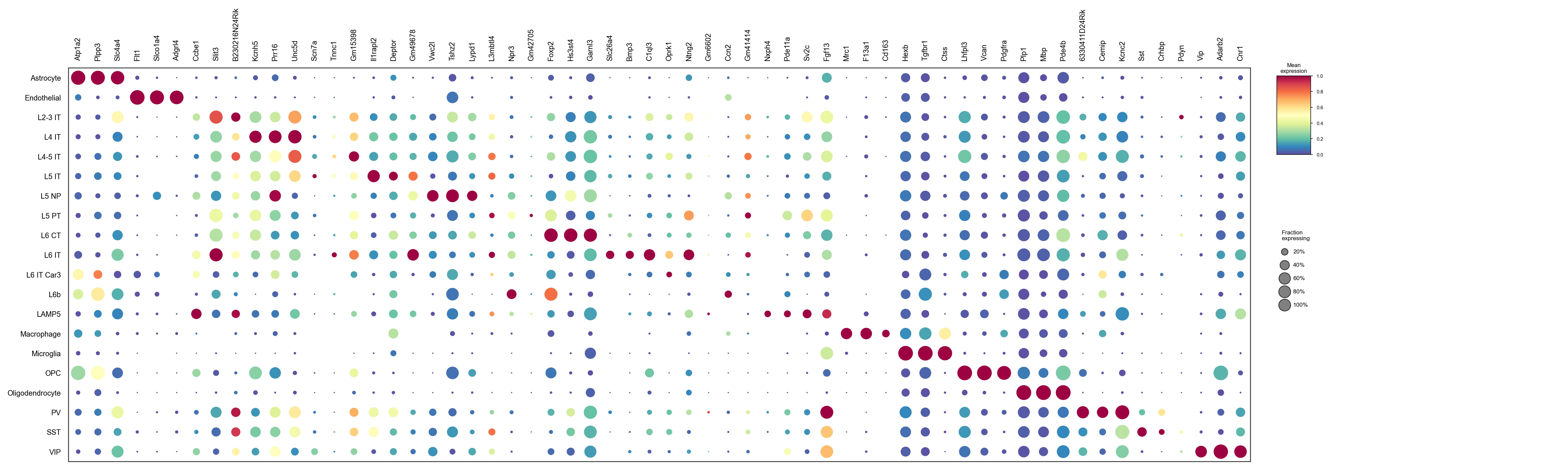 Reference markers by predicted cell type