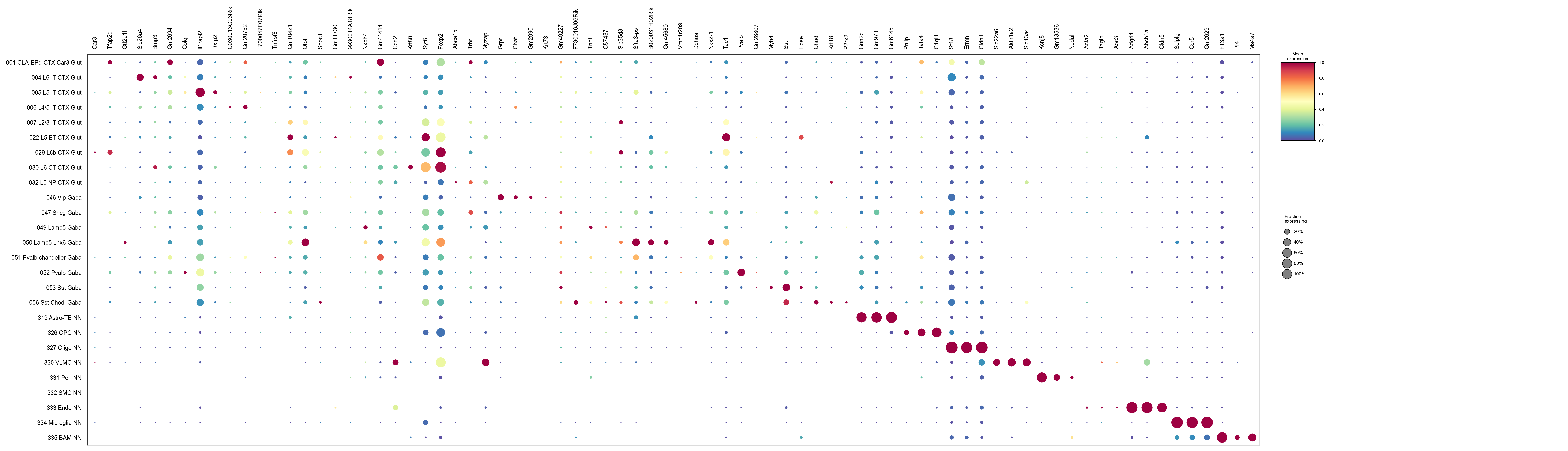PIASOmarkerDB markers by predicted cell type