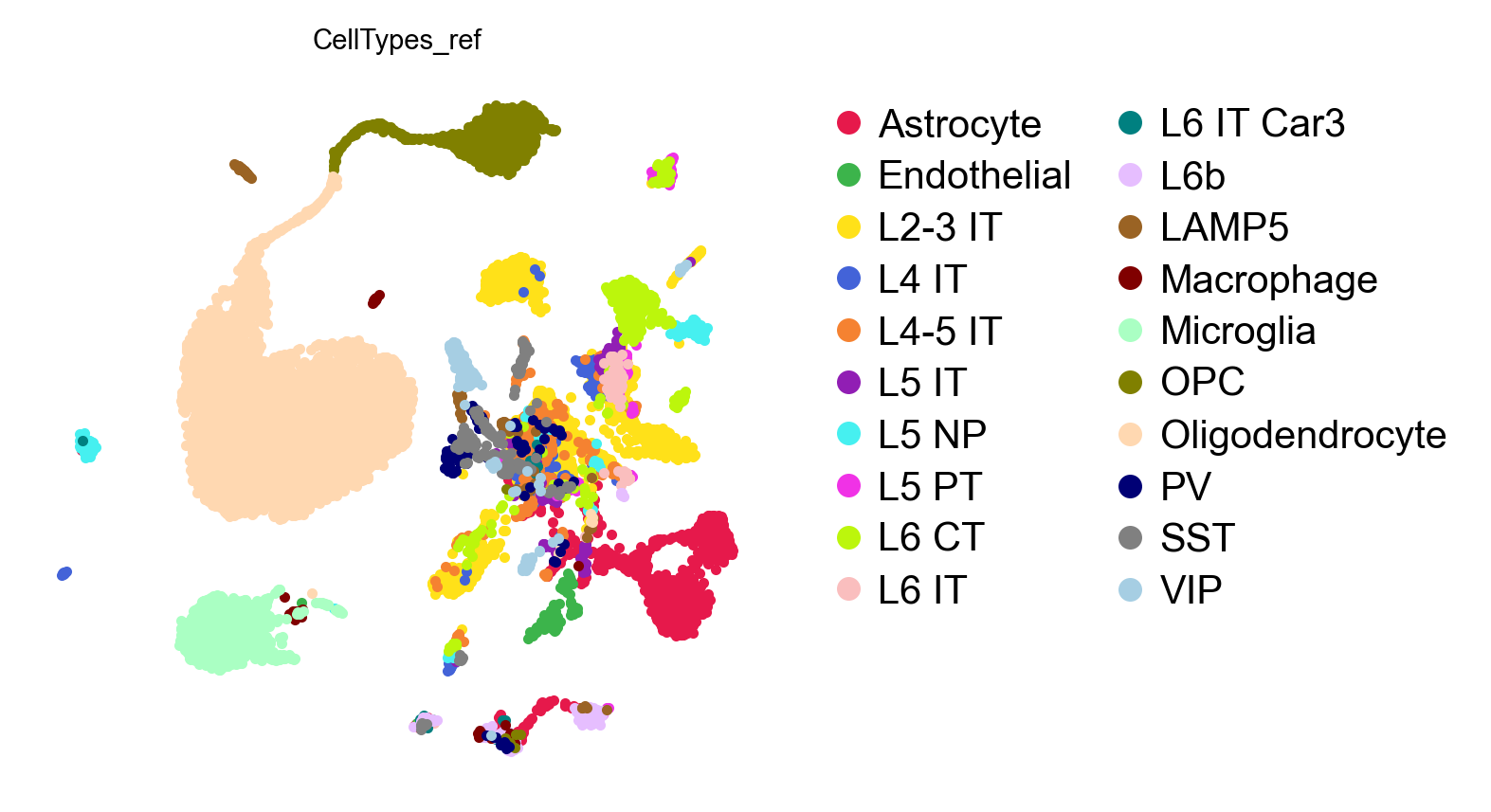 UMAP, reference-derived labels