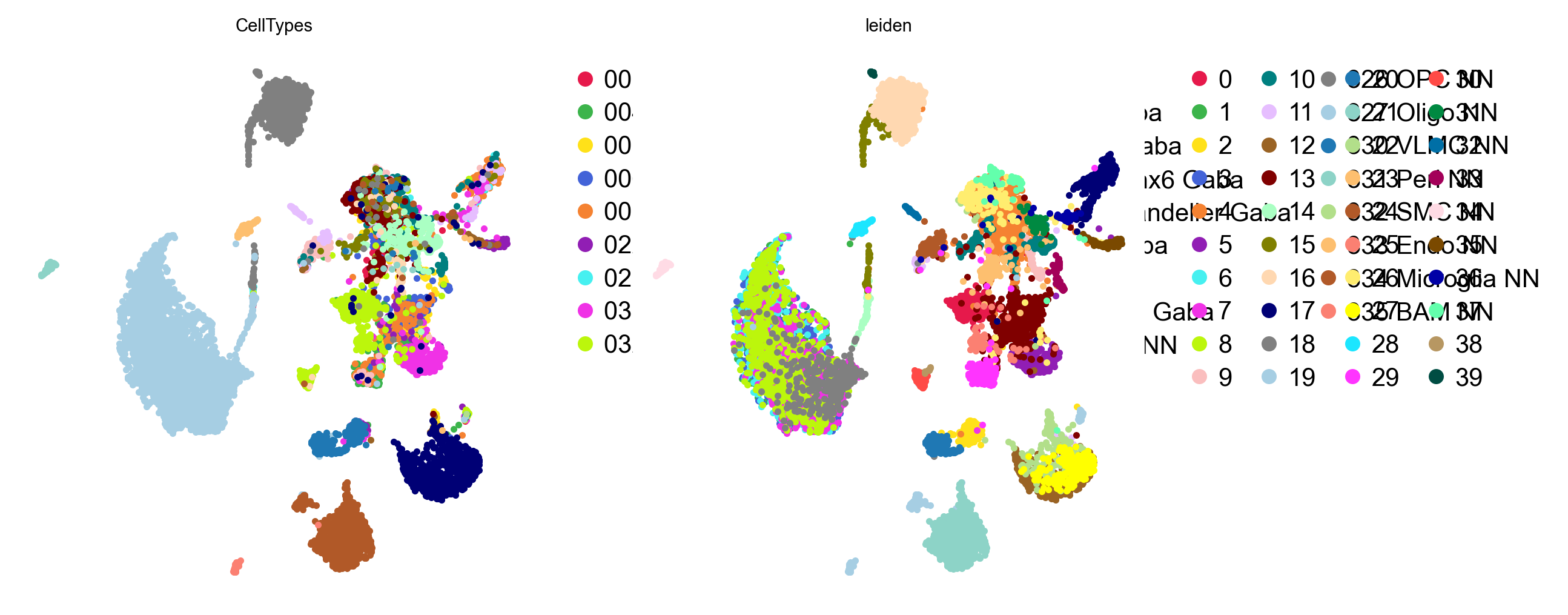 GDR embedding coloured by cell type