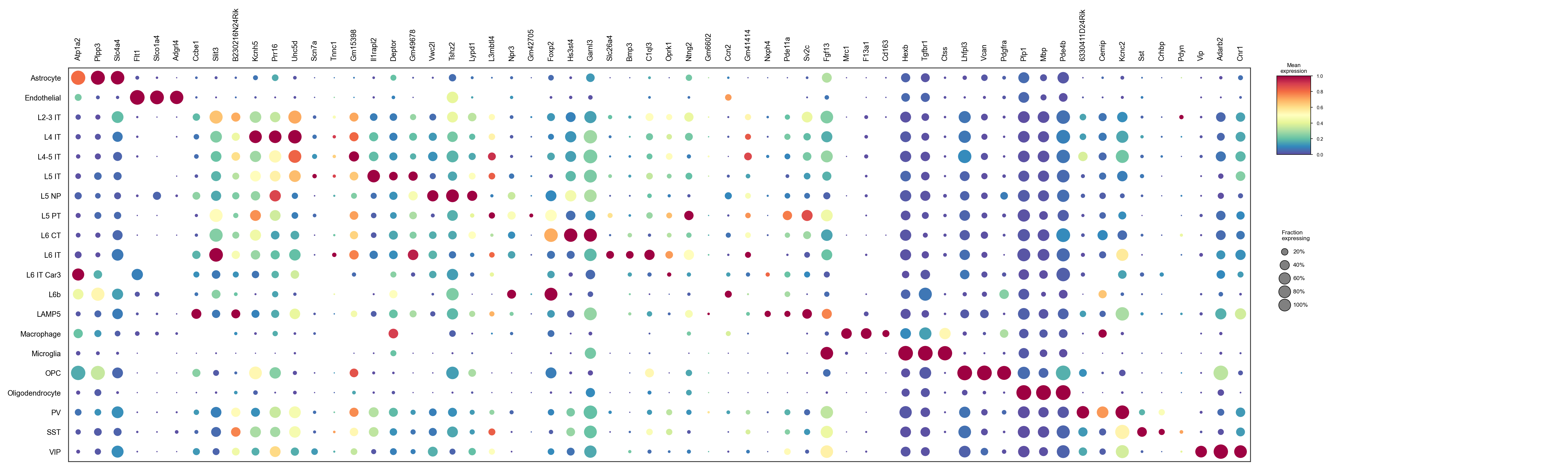 Reference markers by predicted cell type