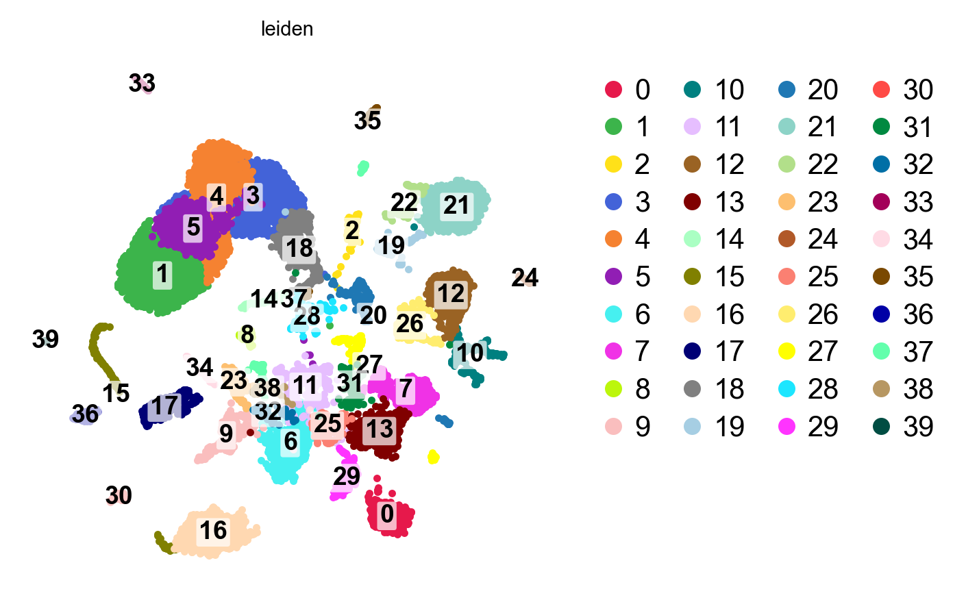 First-pass UMAP