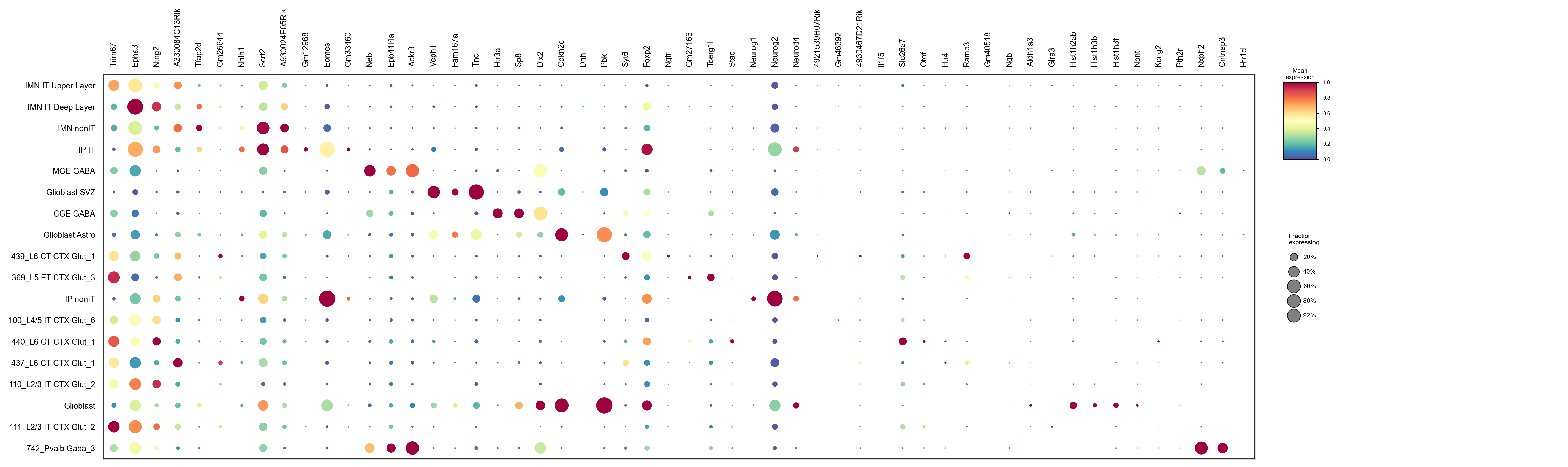 Markers by cell type