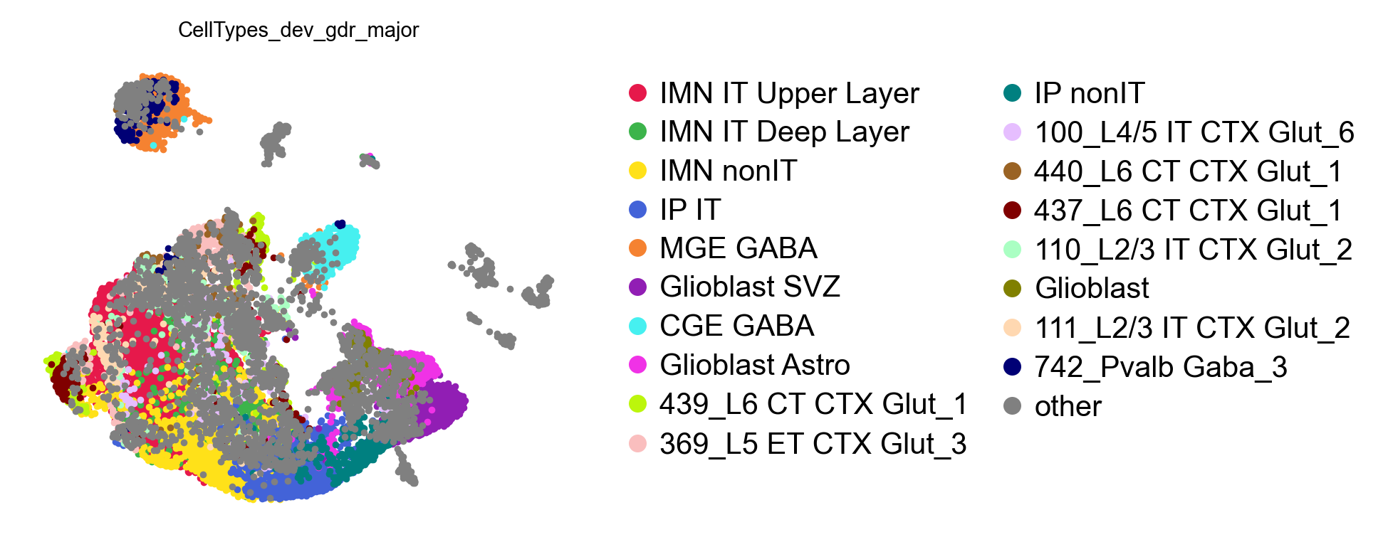 Cell types