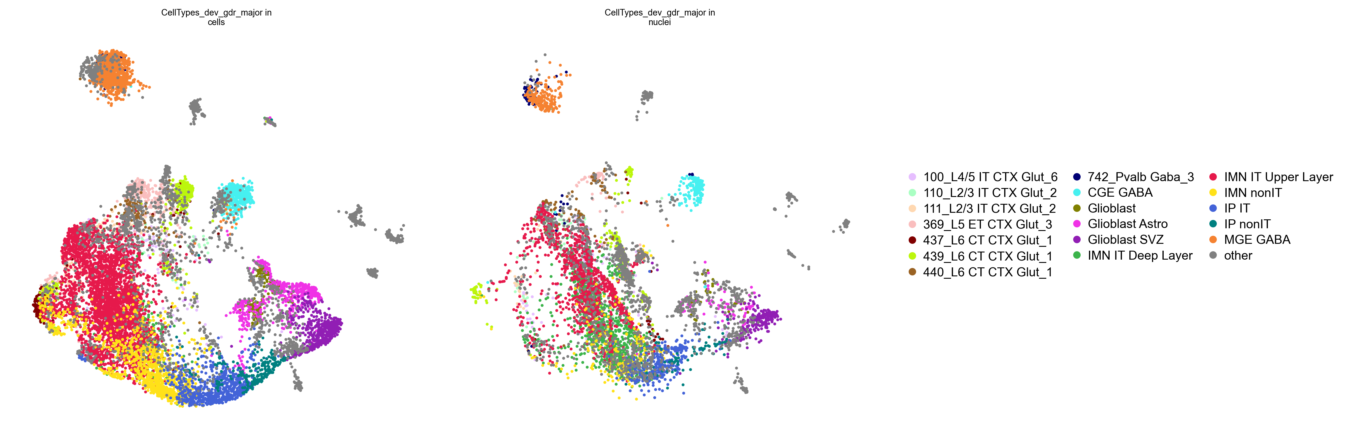 Cell types, split by preparation