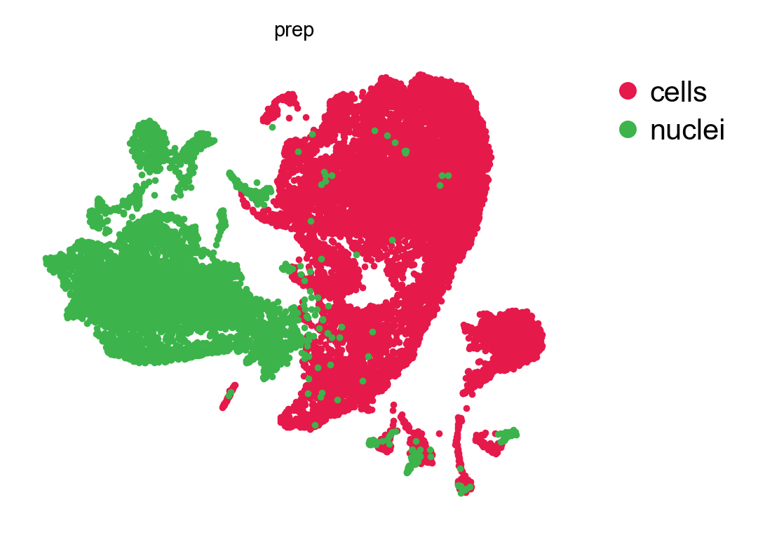 SVD embedding, by preparation