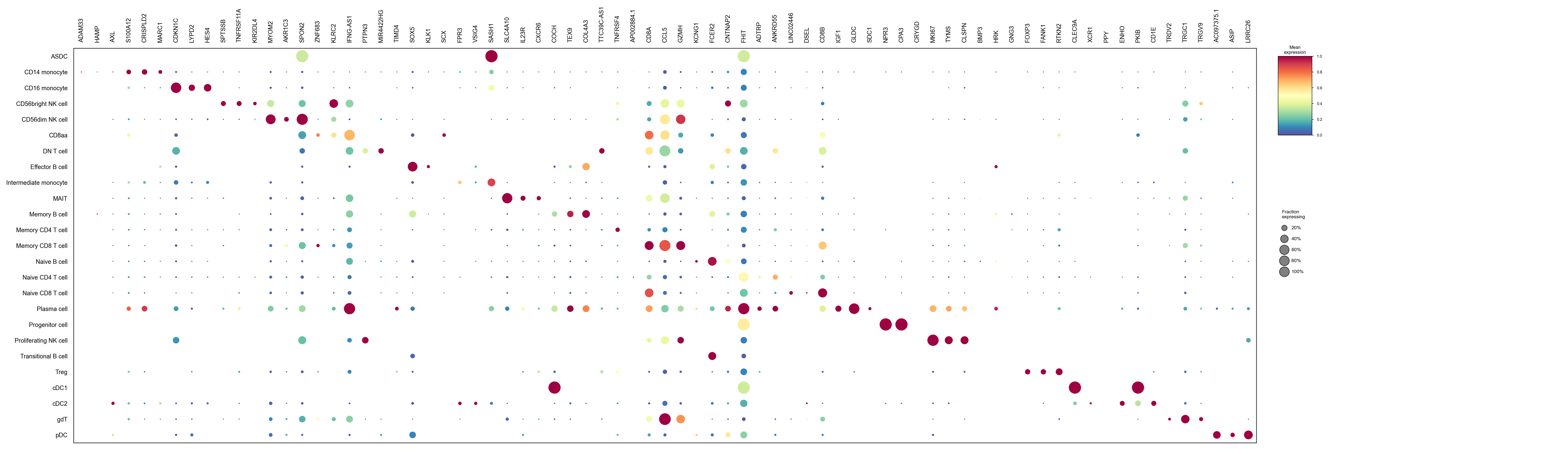 Marker genes by cell type