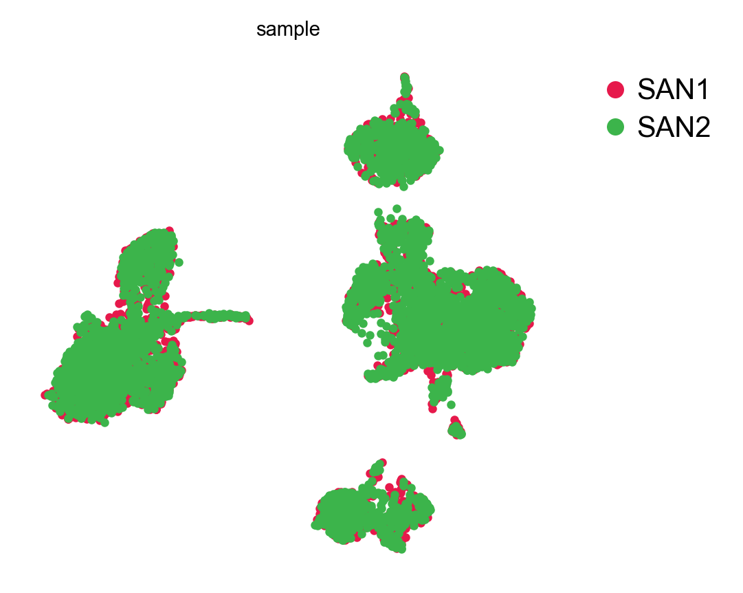 SVD embedding, coloured by sample