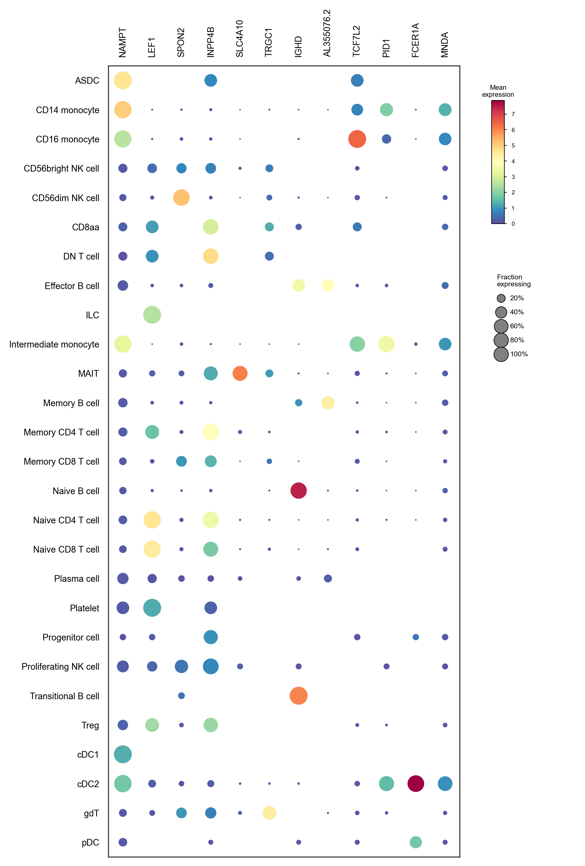 Markers by predicted cell type