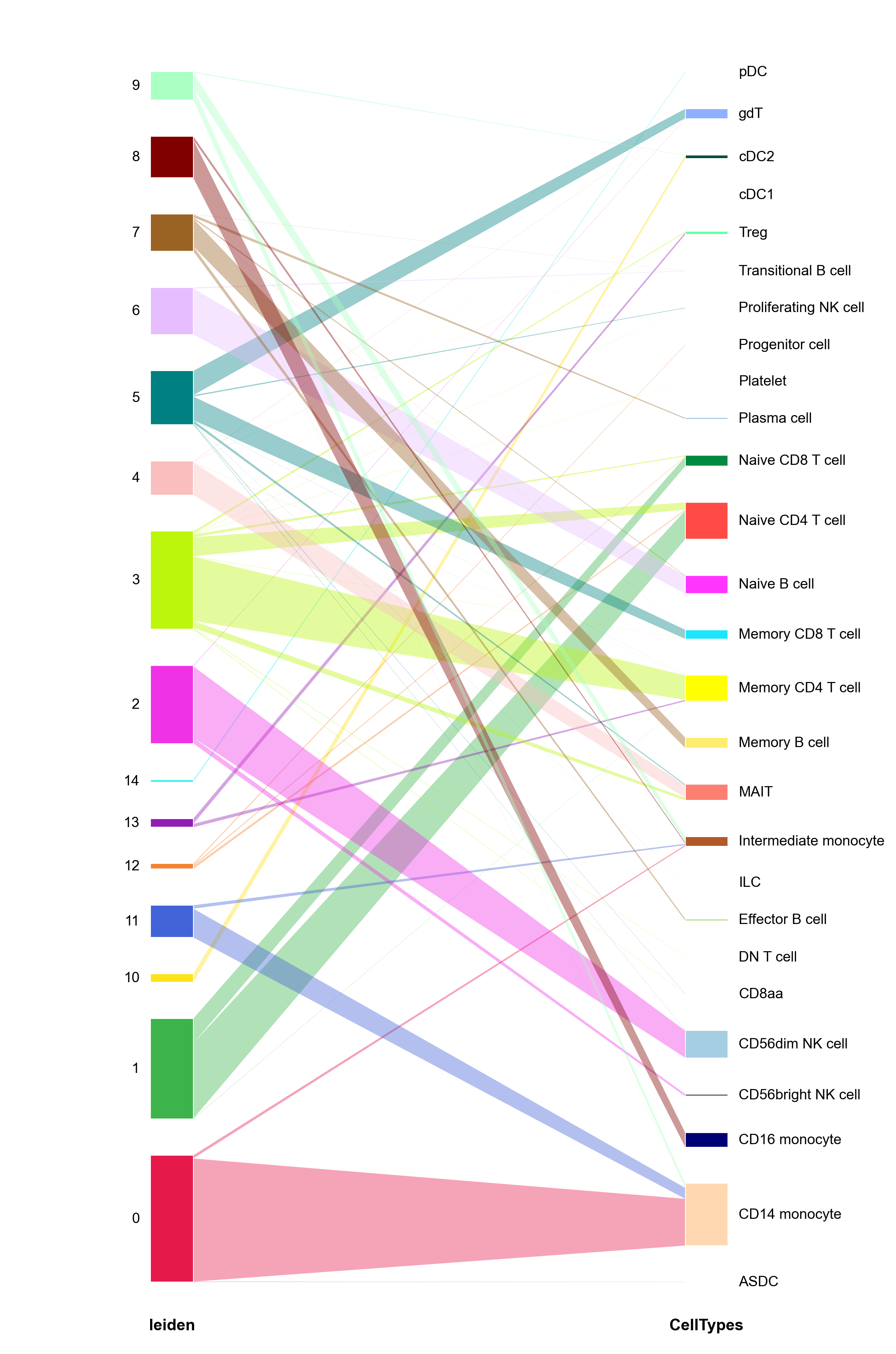 Clusters to predicted cell types