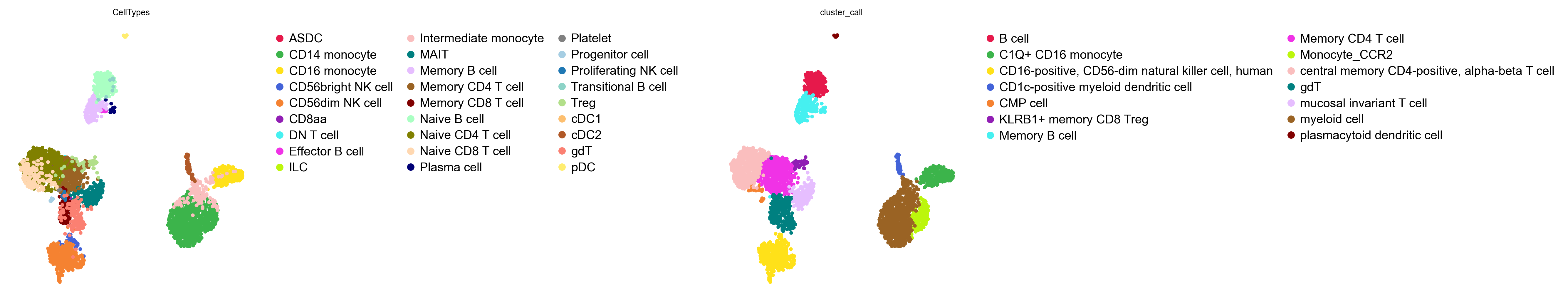 Cell-wise and cluster-wise labels
