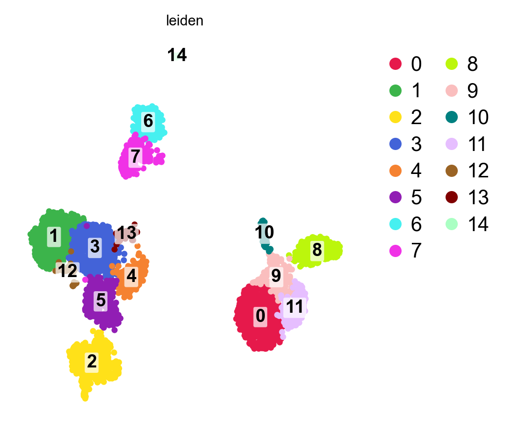 UMAP after cleanup