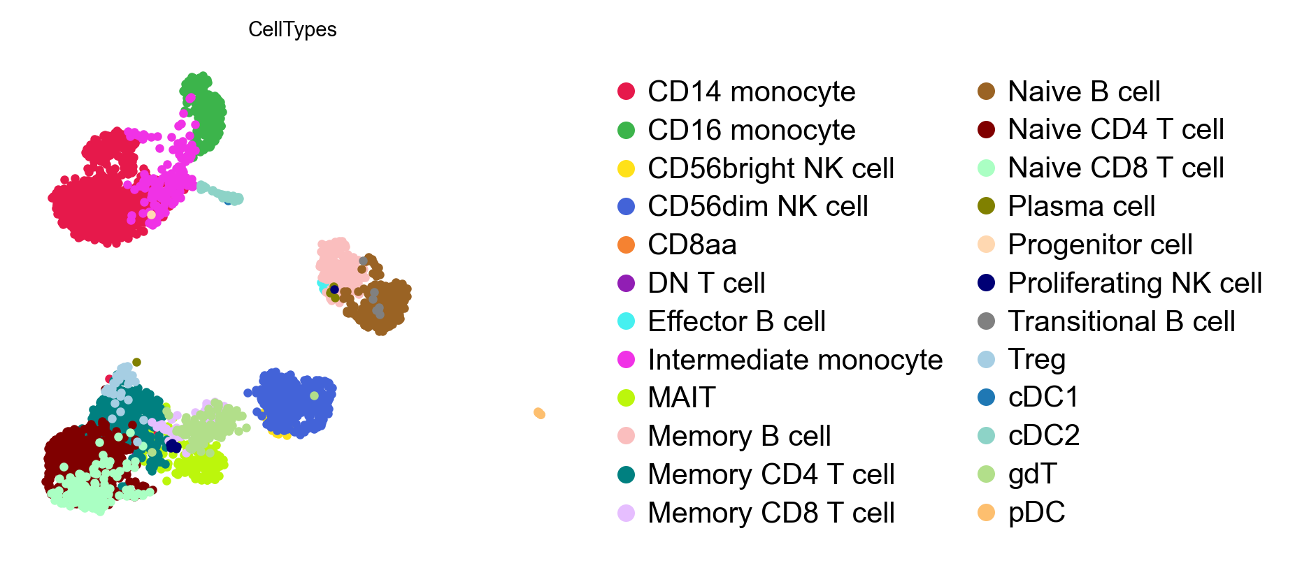 Predicted cell types