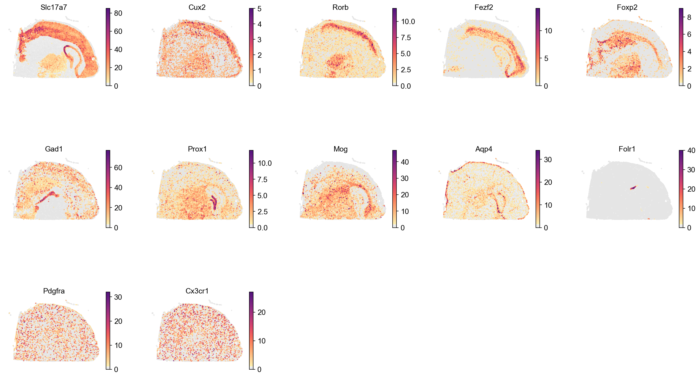 Canonical markers in tissue space