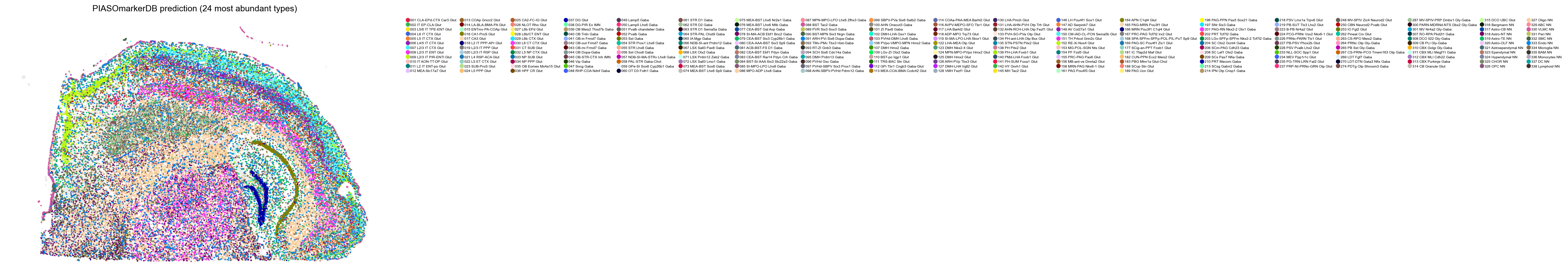 Prediction across the section, 24 most abundant types